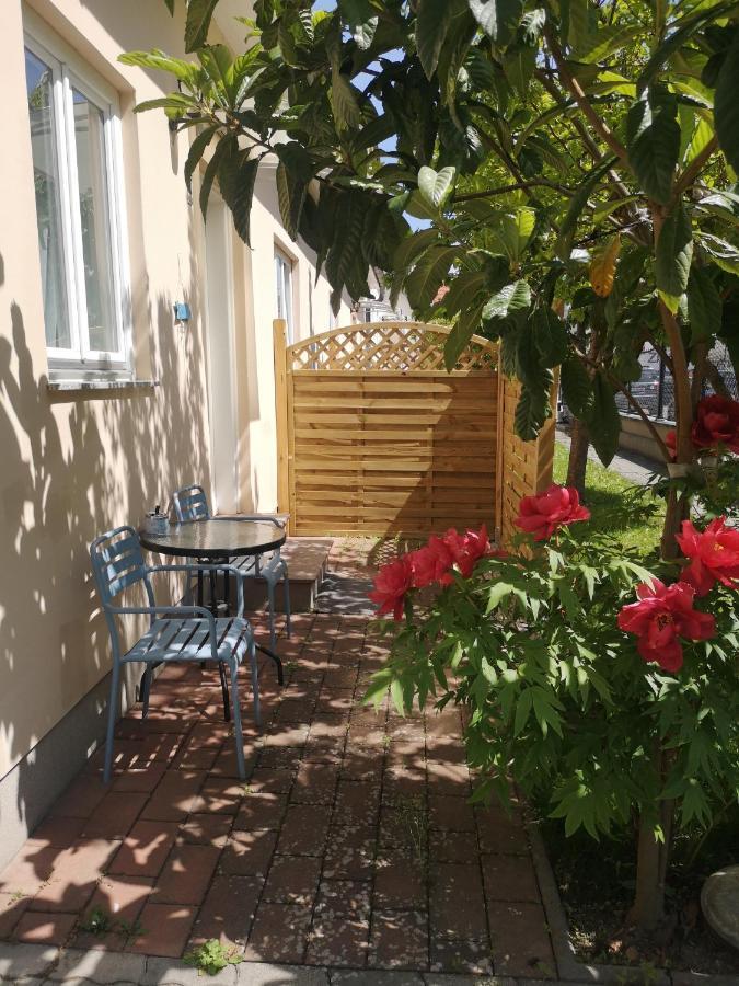 Terrasse Wohnungen Mit Parking In Zentrum Баден Екстериор снимка