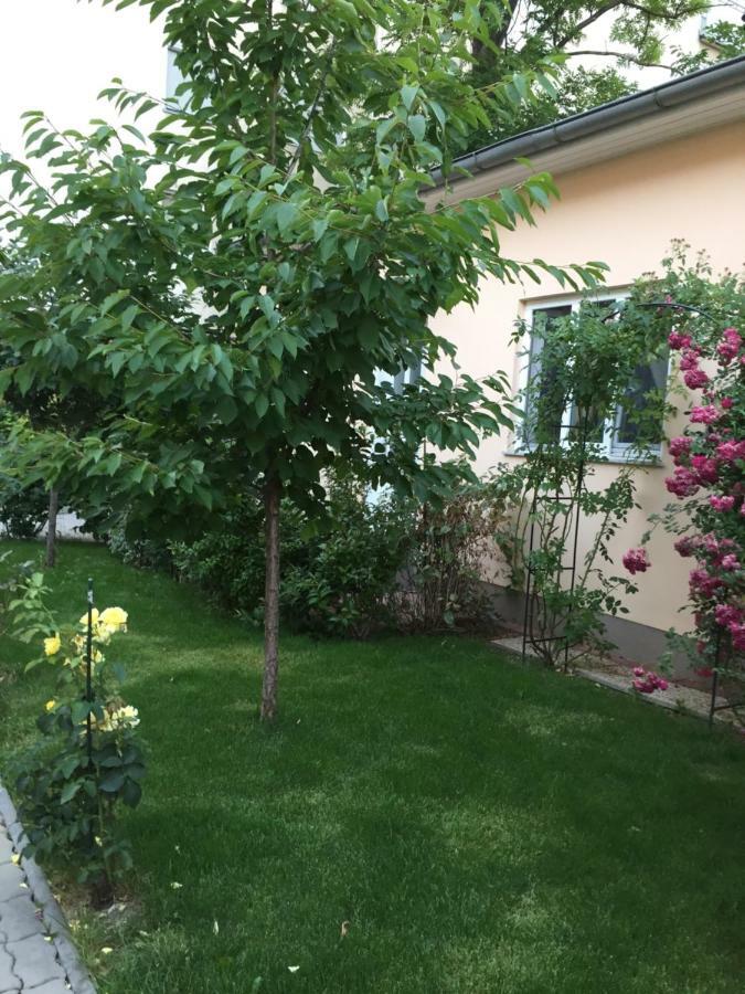 Terrasse Wohnungen Mit Parking In Zentrum Баден Екстериор снимка