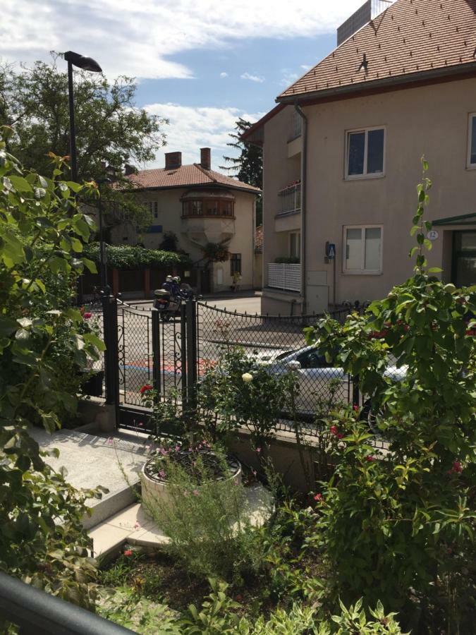 Terrasse Wohnungen Mit Parking In Zentrum Баден Екстериор снимка