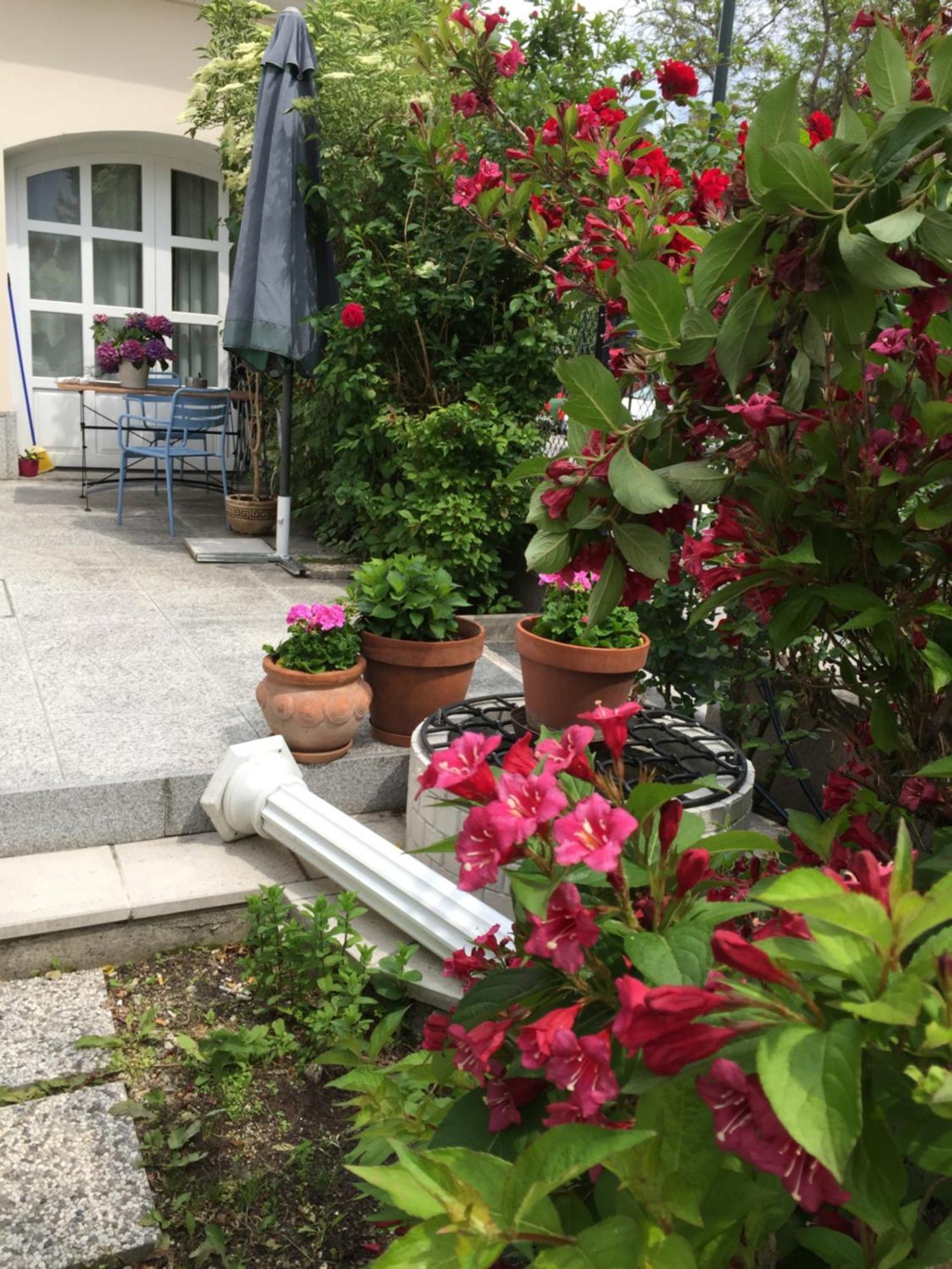 Terrasse Wohnungen Mit Parking In Zentrum Баден Екстериор снимка